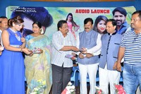 Danger Love Story Audio Launch